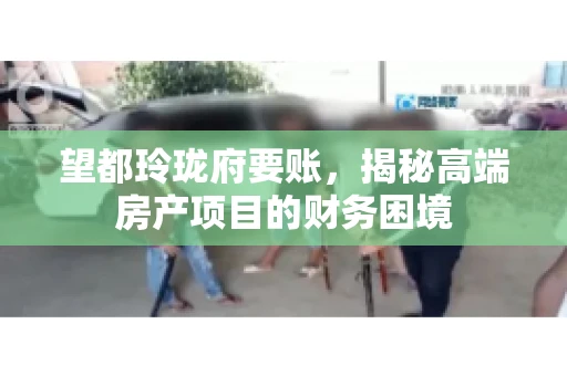 望都玲珑府要账,揭秘高端房产项目的财务困境 望都玲珑府要账,揭秘高端房产项目的财务困境