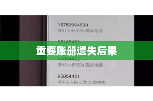 重要账册遗失后果