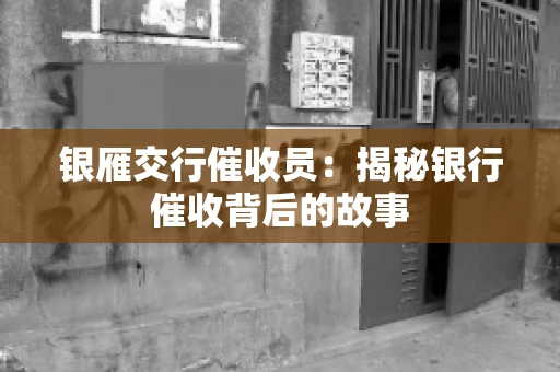 银雁交行催收员：揭秘银行催收背后的故事