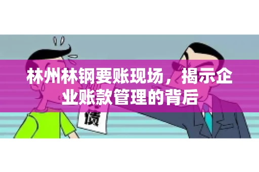 林州林钢要账现场，揭示企业账款管理的背后
