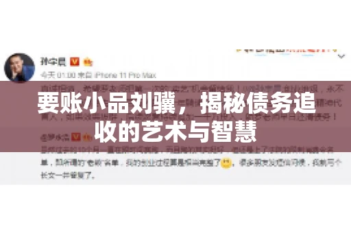 要账小品刘骥，揭秘债务追收的艺术与智慧