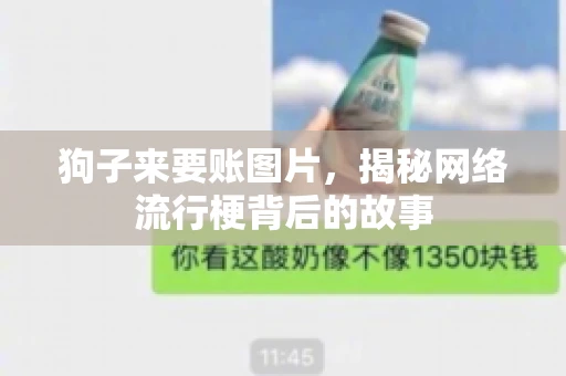 狗子来要账图片,揭秘网络流行梗背后的故事 狗子来要账图片,揭秘网络流行梗背后的故事