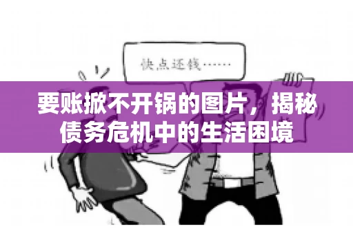 要账掀不开锅的图片，揭秘债务危机中的生活困境