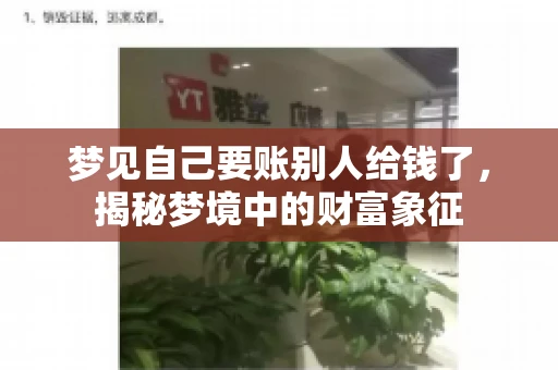 梦见自己要账别人给钱了，揭秘梦境中的财富象征