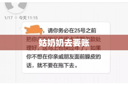 姑奶奶去要账 姑奶奶去要账