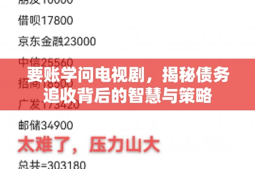 要账学问电视剧,揭秘债务追收背后的智慧与策略 要账学问电视剧,揭秘债务追收背后的智慧与策略