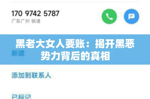黑老大女人要账:揭开黑恶势力背后的真相 黑老大女人要账:揭开黑恶势力背后的真相