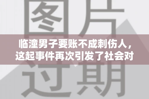 临潼男子要账不成刺伤人，这起事件再次引发了社会对讨债行为的关注。在这个故事中，我们不仅要了解事件的经过，还要思考如何避免类似悲剧的发生。