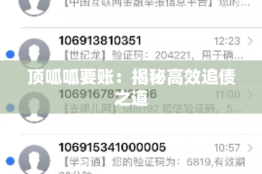 顶呱呱要账：揭秘高效追债之道