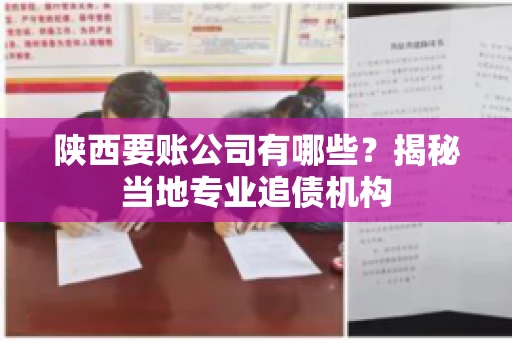 陕西要账公司有哪些？揭秘当地专业追债机构
