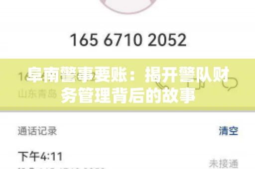 阜南警事要账：揭开警队财务管理背后的故事