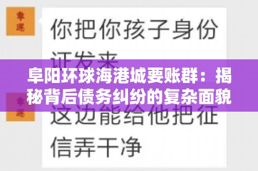 阜阳环球海港城要账群：揭秘背后债务纠纷的复杂面貌