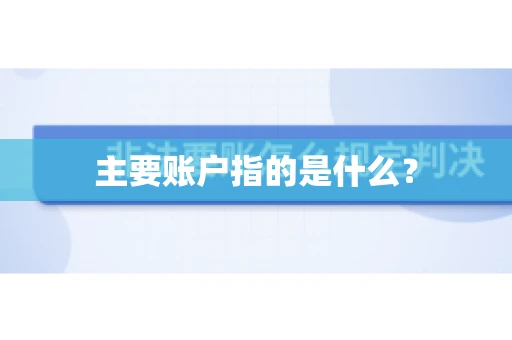 主要账户指的是什么？