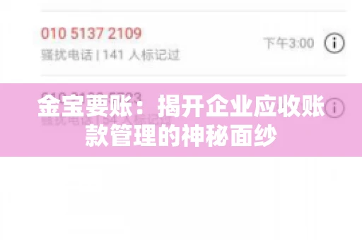 金宝要账：揭开企业应收账款管理的神秘面纱