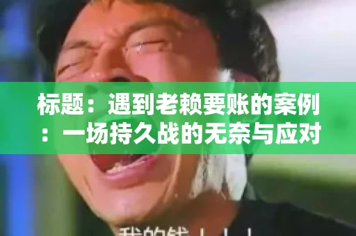 标题:遇到老赖要账的案例:一场持久战的无奈与应对 标题:遇到老赖要账的案例:一场持久战的无奈与应对