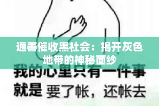 通善催收黑社会：揭开灰色地带的神秘面纱