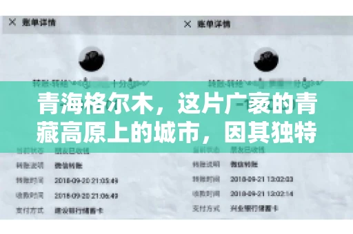 青海格尔木，这片广袤的青藏高原上的城市，因其独特的地理位置和丰富的自然资源而闻名。然而，对于一些借款人来说，这里可能因为逾期还款而接到催收电话。那么，青海格尔木的催收电话是哪家公司的呢？今天，我们就来聊聊这个话题。