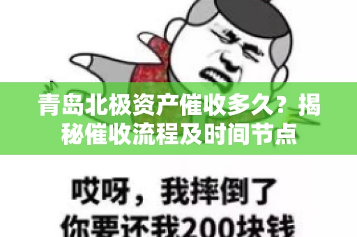青岛北极资产催收多久？揭秘催收流程及时间节点