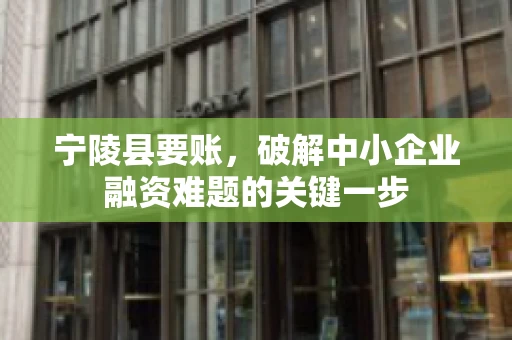 宁陵县要账，破解中小企业融资难题的关键一步