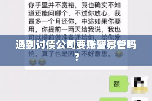 遇到讨债公司要账警察管吗？