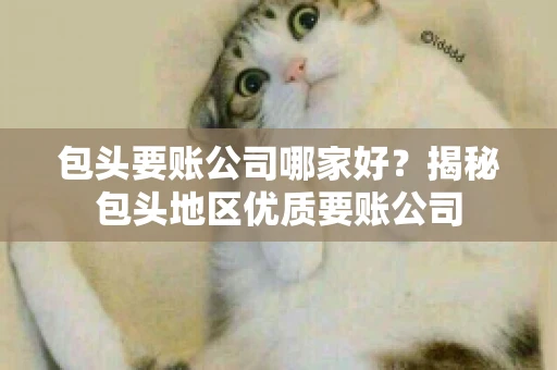 包头要账公司哪家好？揭秘包头地区优质要账公司